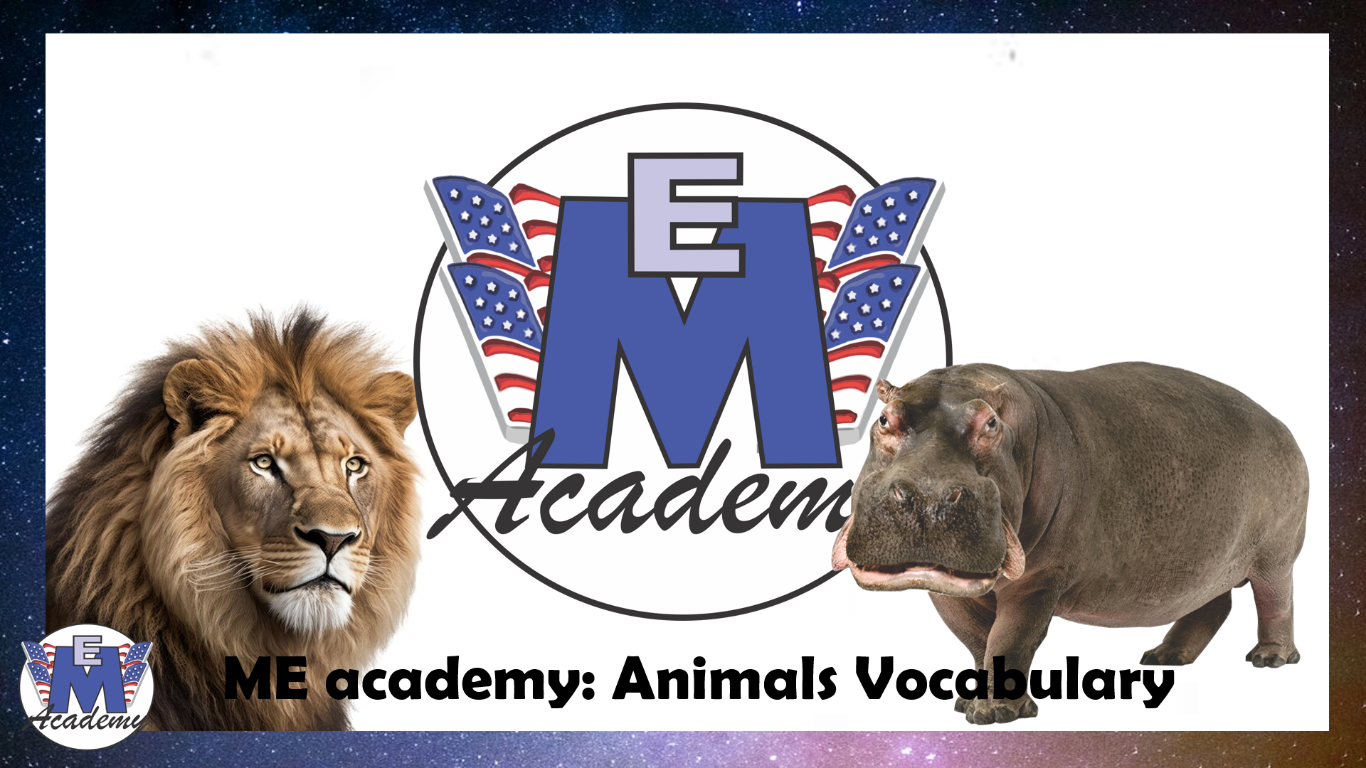Animals Vocabulary